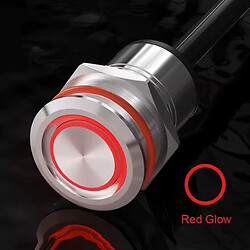 Кнопка антивандальная LB22F-P10F/ER5-24V/S135/M12-4P(L)