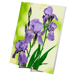 Картина за номерами "Іриси", з дерев'яною підставкою, 40х50 см, Qbee