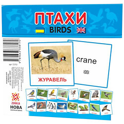 Карточки мини "Птицы", 110х110 мм, укр, Zirka