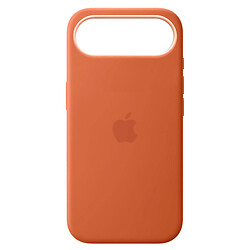 Чохол (накладка) Apple iPhone 17 Air, Original Silicon Case, Terra Cotta, MagSafe, Зелений