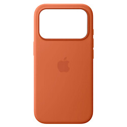 Чехол (накладка) Apple iPhone 17 Pro, Original Silicon Case, MagSafe, Terra Cotta, Зеленый