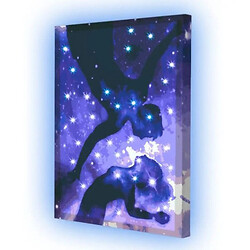 Картина по номерам со светодиодной подсветкой "Сияние твоей души", 40х50 см, Riviera Blanca