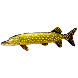 Іграшка м'яконабивна "Щука", розмір 65 см, Сувенір-Декор