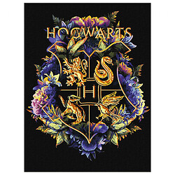 Картина за номерами з фарбами металік "Harry Potter: Герб Хогвартсу", 30х40 см, Ідейка