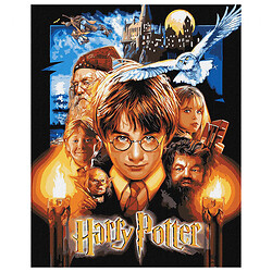 Картина по номерам с красками металлик "Harry Potter: Постер", 40х50 см, Ідейка