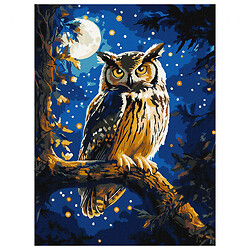 Картина по номерам с красками металлик "Ночная сова", 30х40 см, Ідейка