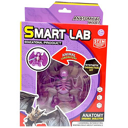 Набор для опытов Анатомия животных, Летучая мышь, Mic