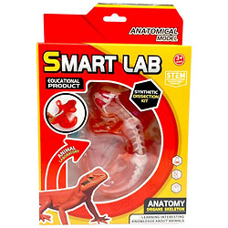 Набор для опытов Анатомия животных, Ящерица, Mic