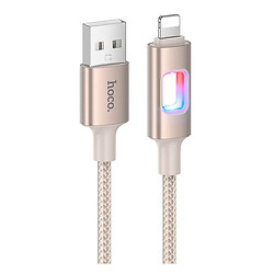 USB кабель Hoco U144 Apple iPhone SE 2022 / iPhone 14 Pro Max / iPhone 14 Plus / iPhone 14 Pro / iPhone 14 / iPhone 13 Pro / iPhone 13 Mini / iPhone 13 / iPhone 13 Pro Max / iPhone 12 Mini / iPhone 12 Pro Max / iPhone 12 Pro, Lightning, 1.2 м., Золотий
