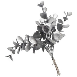 Набір гілочок для рукоділля в асортименті "Евкаліпт", 6 шт