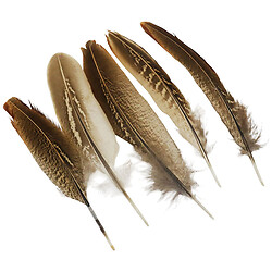 Набор декора для рукоделия "Перынки", 5 шт, 10-15 см