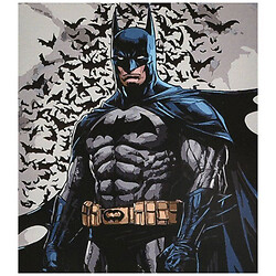 Картина за номерами "Герой у накидці", 40х50 см, Strateg