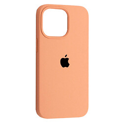 Чехол (накладка) Apple iPhone 11 Pro, Original Soft Case, Desert Gold, Бежевый