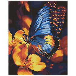 Алмазна мозаїка "Міркання крил", 40х50 см, Ідейка