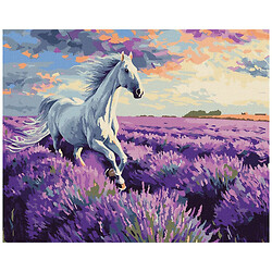 Картина по номерам "В лавандовых полях", 40х50 см, Ідейка