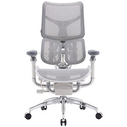 Офисное кресло Sihoo Doro S100 Mesh, Серый