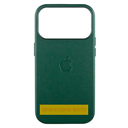 Чехол (накладка) Apple iPhone 17 Pro Max, Leather Case Color, MagSafe, Forest Green, Зеленый