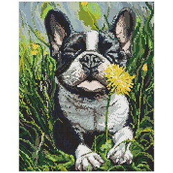 Алмазная мозаика "Пес и одуванчик", 40х50 см, Ідейка