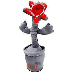 Кактус "Дивні Дива. Демогоргон", Mic