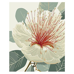 Картина по номерам "Цветущий эвкалипт", 40х50 см, Art Craft