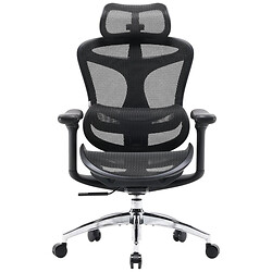 Офисное кресло Sihoo Doro C300L Mesh, Черный