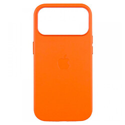 Чехол (накладка) Apple iPhone 17 Pro, Leather Case Color, MagSafe, Оранжевый