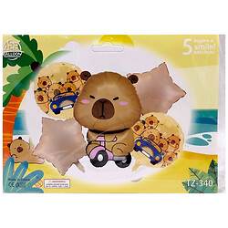 Набор шаров для создания фотозоны, 5 шт., Mic