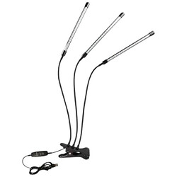 Фітолампа для рослин