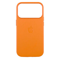 Чохол (накладка) Apple iPhone 17 Pro, Leather Case Color, MagSafe, Золотий