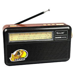 Радиоприемник Golon RX-BT169, Черный