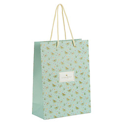 Пакет бумажный подарочный "Turnowsky. Morning Dew 2", 18х24см, Axent