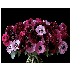 Картина по номерам на черном фоне "Красные анемоны", 40 x 50 см, Strateg