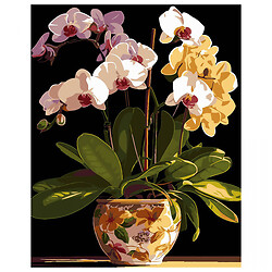 Картина по номерам на черном фоне "Вазон орхидей", 40х50 см, Strateg