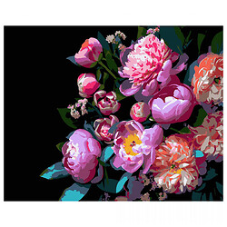 Картина по номерам на черном фоне "Пионоподобные цветы", 40Х50 см, Strateg