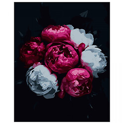 Картина по номерам на черном фоне "Розово-белые цветы", 40Х50 см, Strateg