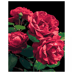 Картина по номерам на черном фоне "Розы", 40х50 см, Strateg