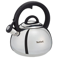 Чайник Tefal Duetto+, Серебряный