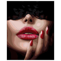 Картина по номерам "Ажурная маска к красным губам", 40х50 см, Оптифрост
