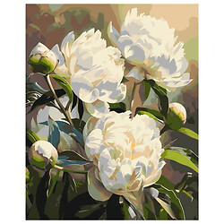 Картина за номерами "Гармонія півонії", 40х50 см, Origami