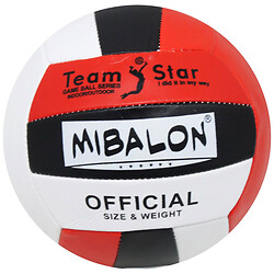 М'яч волейбольний "Mibalon official", вид 3, Mic