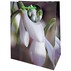 Пакет бумажный, 18х23х10 см, 5 шт. в упаковке, Art Studio Of Happiness