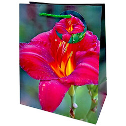 Пакет паперовий, 18х23х10 см, 5 шт. в упаковці, Art Studio Of Happiness