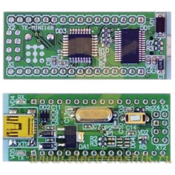 Налагоджувальна плата TE-MINI168