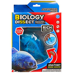 Набор игрушечный для опытов "Анатомия рыбы"