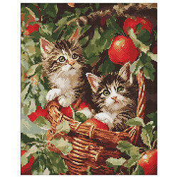 Алмазна мозаїка "Коти у кошику", 40х50 см, Ідейка