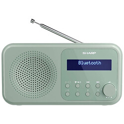 Радиоприемник Sharp DR-P420, Зеленый