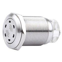 Бузер антивандальний LAS1-19-BZ-12V