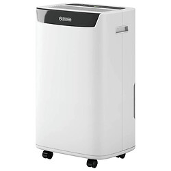Осушитель воздуха Olimpia Splendid Aquaria S1 12 P, Белый