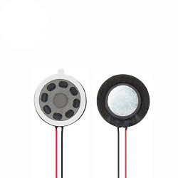 Громкоговоритель GSPK2004PN-8R1W