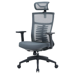 Офісне крісло OfficePro Balance OC550-B-DG-DG, Сірий